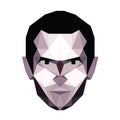 Abstract vector polygonal portrait of man.