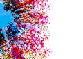 Abstract vector splatter multicolor on isolated background design. illustration vector design Royalty Free Stock Photo