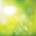 Abstract vector summer sunlight illustration. Sunny green background sky with defocused lights. Special sun lens flare Royalty Free Stock Photo