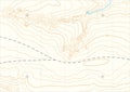 Abstract vector topographic map Royalty Free Stock Photo