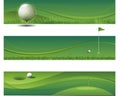 Abstract vector waving golf background Royalty Free Stock Photo