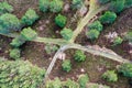 Abstract vertical aerial view of two field paths crossing in the heath landscape Royalty Free Stock Photo