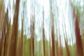 Abstract vertical blur forest environment for backgrounds banners and effects