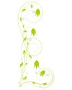 Abstract vertical curl floral element. Vector swirl isolated flo Royalty Free Stock Photo