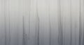 Abstract vertical gradient lines texture subtle monochrome pattern subtle abstract background Royalty Free Stock Photo