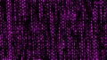Abstract vertical torn lines rows blinking on black background, seamless loop and stop motion. Animation. Purple stripes