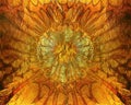 Abstract vibrant orange gold texture, Background Royalty Free Stock Photo