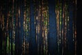 Abstract view of dawn in pine forest Royalty Free Stock Photo