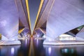 abstract view of Esplanade bridge Singapore