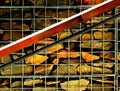 Galvanized steel mesh cage filled with red and brown crashed stone and wooden stair rail in front
