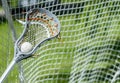 Abstract view of a lacrosse stick scooping up a ball Royalty Free Stock Photo