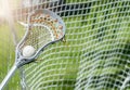 Abstract view of a lacrosse stick scooping up a ball. Sunny day Royalty Free Stock Photo