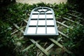 Abstract view of a large garden mirror attached to the rear of a neighbouring wall.