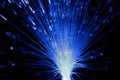 Abstract view of Optical Fibers of blue color