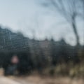 Abstract View Through a Scratched Windshield with Sunlight