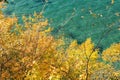 Abstract view of teal waters and yellow fall leaves, at Pictured Rocks National Lakeshore in Michigan. Selective focus on leaves