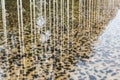 Abstract view of trees and white pillars reflecting in a shalow water basin