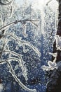 Abstract View of Winter Snow on Tree Branches Royalty Free Stock Photo