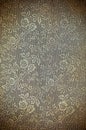 Abstract vintage flora background Royalty Free Stock Photo