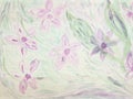 Abstract vintage floral background made with color filters Royalty Free Stock Photo