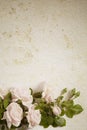 Abstract vintage flower paper background Royalty Free Stock Photo