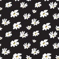 Abstract vintage seamless floral pattern. white chamomile flowers on black background. vector illustration Royalty Free Stock Photo