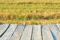 Abstract vintage wooden texture bridge, Empty old wood bridge with landscape nature and blurred field background Royalty Free Stock Photo