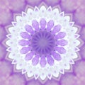 Abstract violet background mandala flora pattern, wild white an