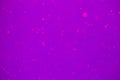 Abstract violet bokeh background. Defocused background. Blurred pink bright light. Circular points Royalty Free Stock Photo