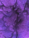 Abstract violet Color texture, Purple Background