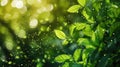 Abstract visualization of carbon molecules transforming into green leaves, symbolizing CO2 conversion into oxygen Royalty Free Stock Photo