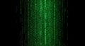 Vibrant green digital rain effect displays cascading streams of binary code on dark background Royalty Free Stock Photo