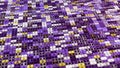 Abstract visualization of scanning hacker program, seamless loop. Animation. Password search by character matching. Royalty Free Stock Photo