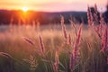 Abstract warm landscape of dry wildflower and grass meadow on warm golden hour sunset or sunrise time. Tranquil autumn fall nature