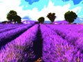 Abstract water color lavender farm background