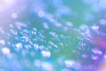 Abstract water drop bokeh on platter colorful fresh beautiful use as celebration festival concept background image