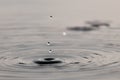 Abstract Of Water Drops And Ripples