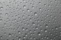 Abstract water drops on a silver background. Royalty Free Stock Photo