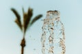 Abstract water wave drop in motion with palm tree and blue sky background Royalty Free Stock Photo