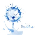 Abstract Watercolor art hand paint background with flower dandelion