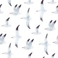 Abstract watercolor background with flying seagulls. White seagull isolated on the white background. Sea background with a minimal Royalty Free Stock Photo