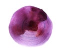 Abstract watercolor background. Irregular round rainbow spot. Lilac pink purple circle with radial lines on a white background.