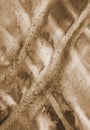 Abstract watercolor background on paper texture. In Sepia toned. Royalty Free Stock Photo