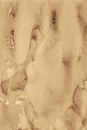 Abstract watercolor background on paper texture. In Sepia toned. Royalty Free Stock Photo