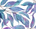 Abstract watercolor background with tangled eucalyptus leaves