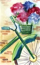 Abstract watercolor bicycle with flower basket. Front of green bike with wiker bank full of crimson and blue hydrangea against Royalty Free Stock Photo