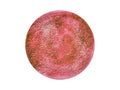 Abstract watercolor circle painted background Royalty Free Stock Photo