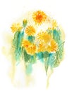 abstract watercolor floral background with dandelion lines
