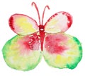 Abstract Watercolor hand drawn butterfly Royalty Free Stock Photo