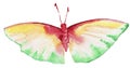 Abstract Watercolor hand drawn butterfly Royalty Free Stock Photo